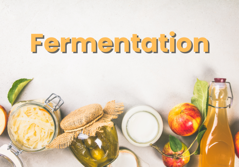 Fermentation